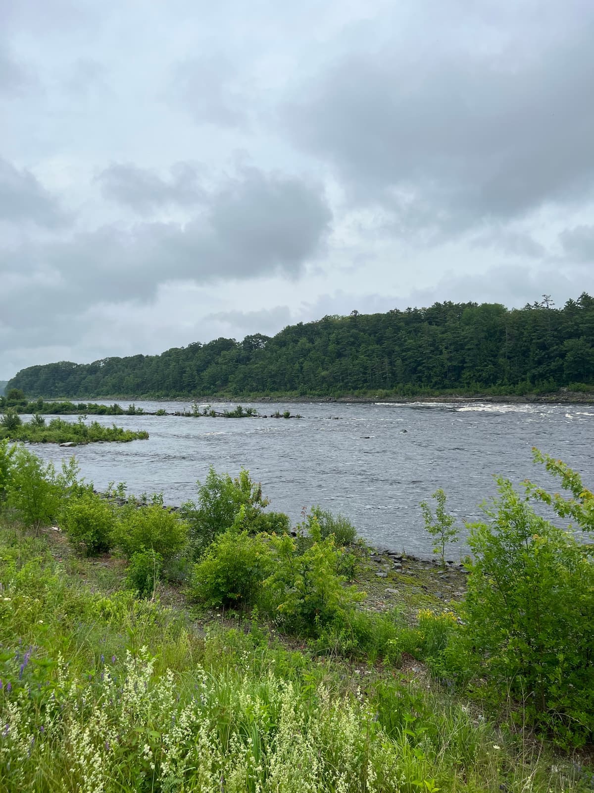 A wide river running past a wooded ridgeline