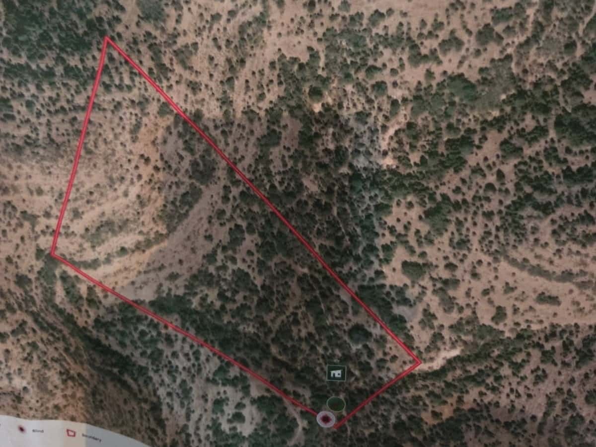 21 Acres, Whitetail deer and Turkey, Edward County TX