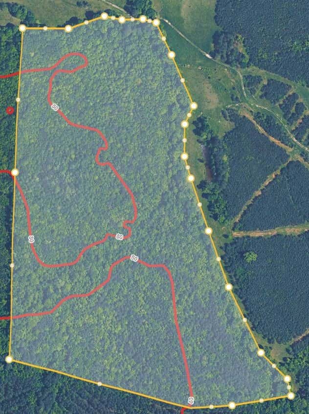 50 Acre Deer And Turkey Lease in Halifax County NC