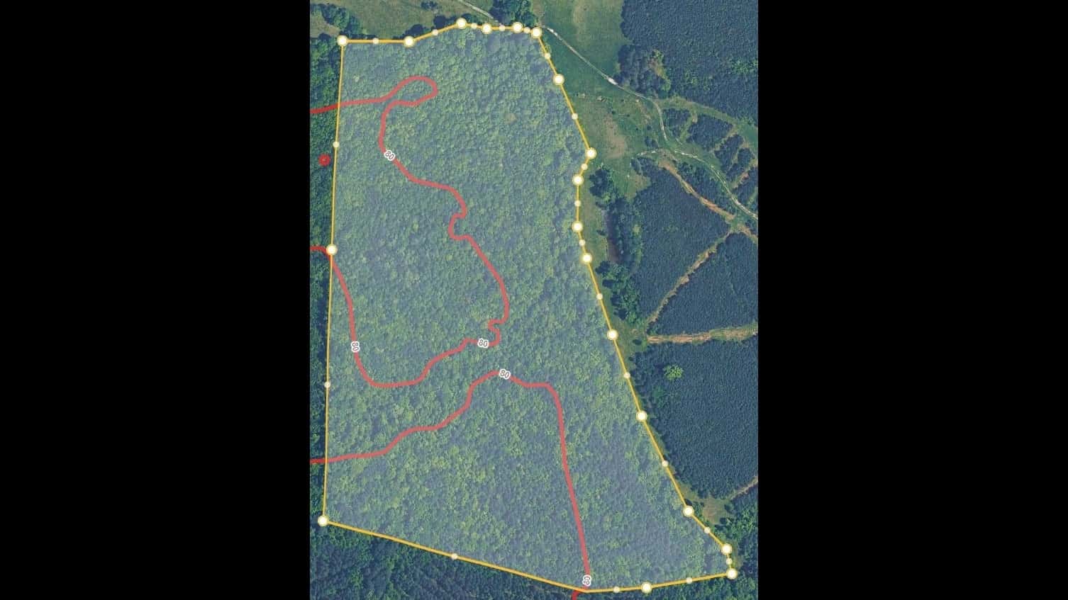 50 Acre Deer And Turkey Lease in Halifax County NC
